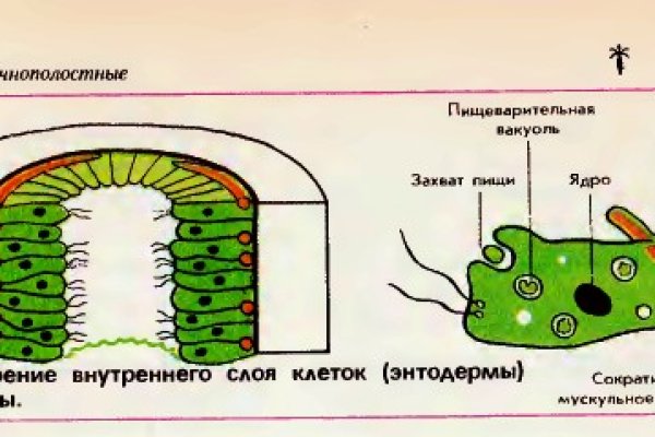 Купить шишки бошки