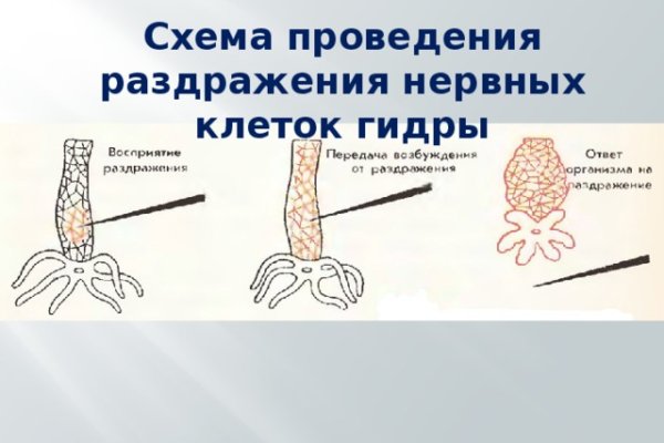 Kraken даркнет площадка